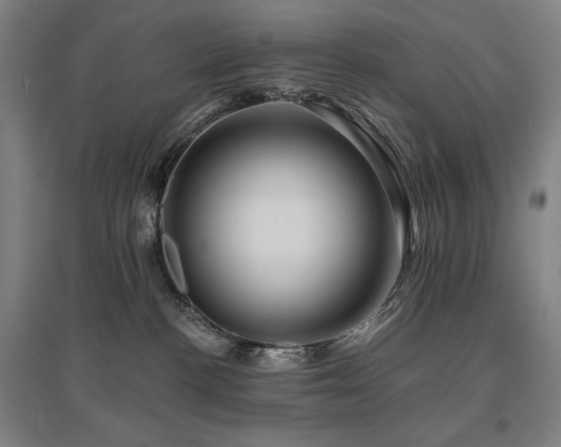 X0000095900188200801111218