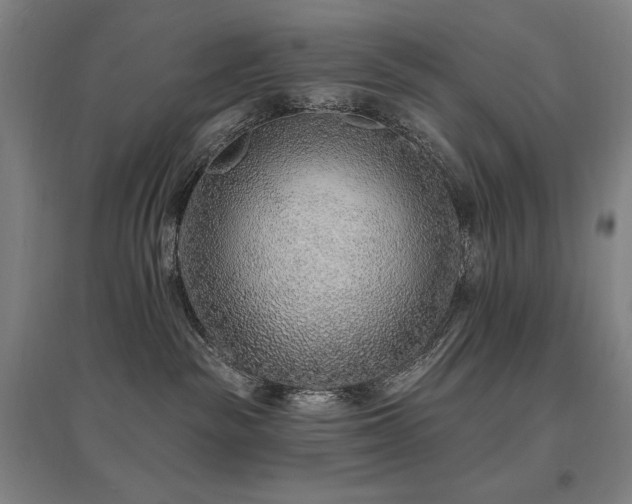 X0000095900189200801111218