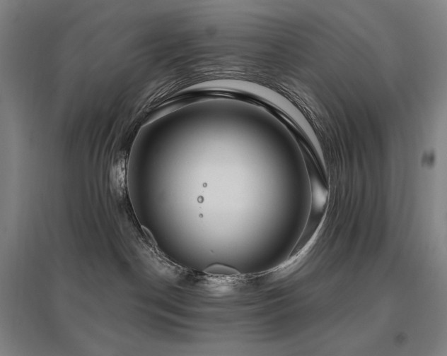 X0000095900190200801111218