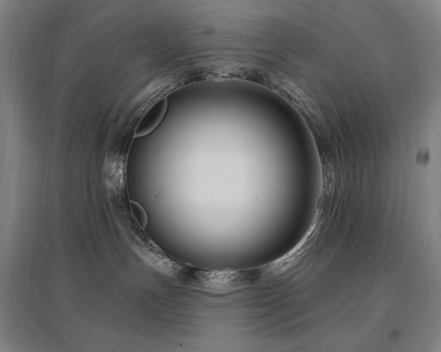 X0000095900191200801111218