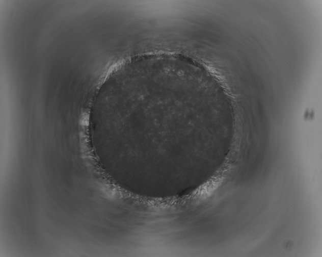 X0000095900192200801111218