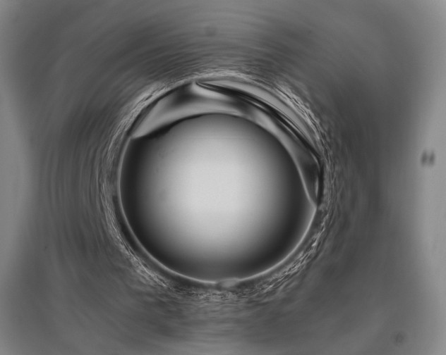 X0000095900193200801111217