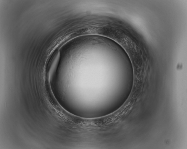 X0000095900194200801111217