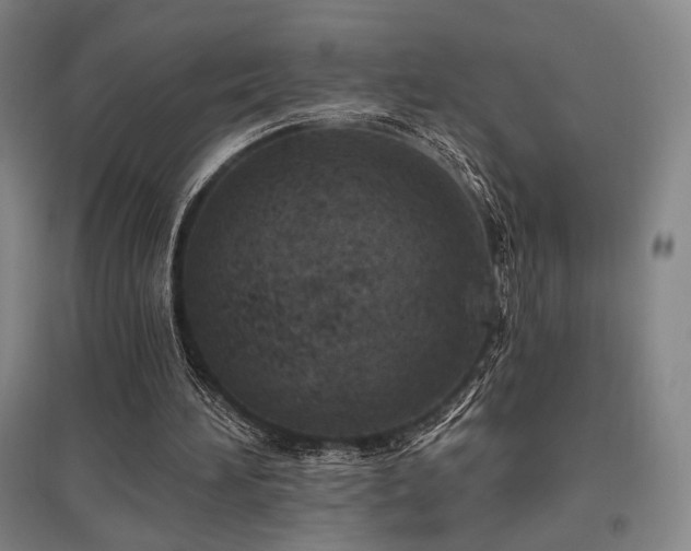 X0000095900196200801111217