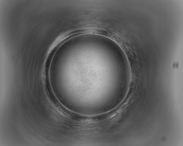 X0000095900198200801111217