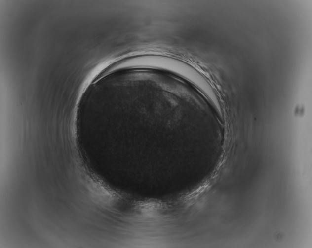 X0000095900200200801111217