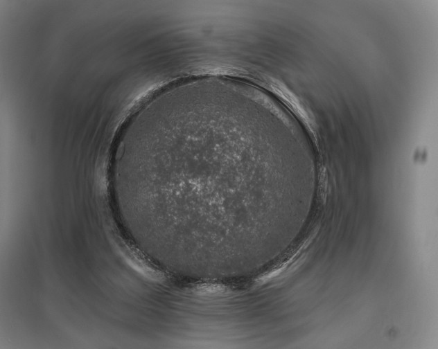 X0000095900203200801111217