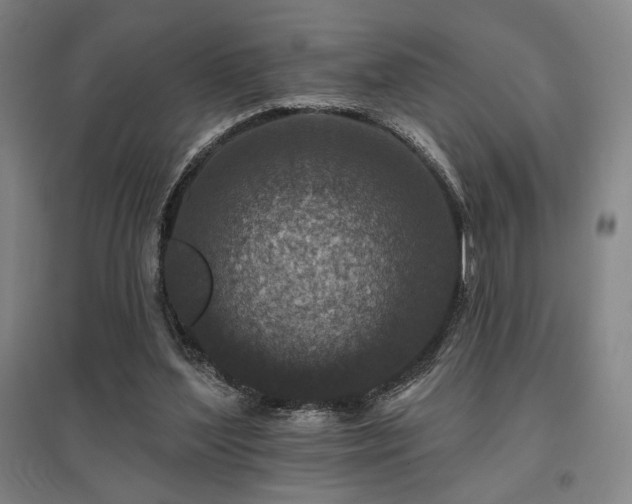 X0000095900204200801111217