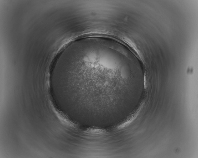 X0000095900205200801111217