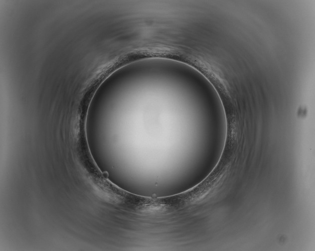 X0000095900206200801111217
