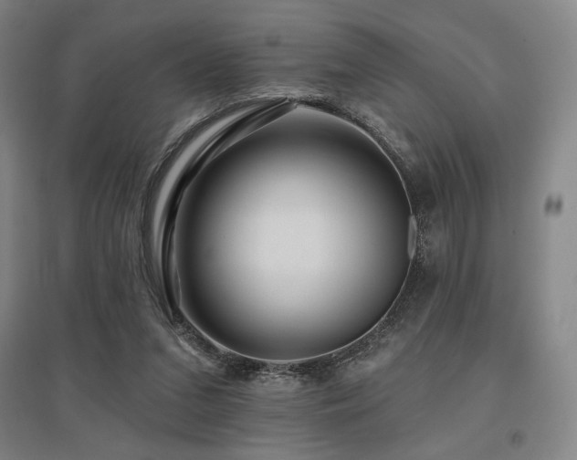 X0000095900207200801111217