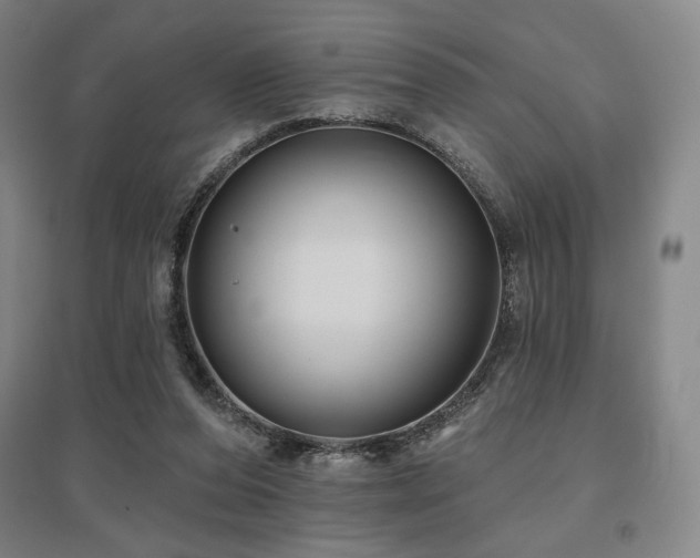 X0000095900208200801111217