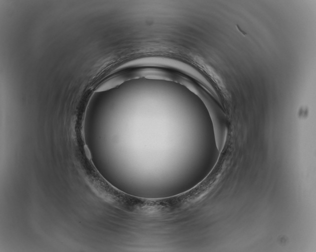 X0000095900209200801111217