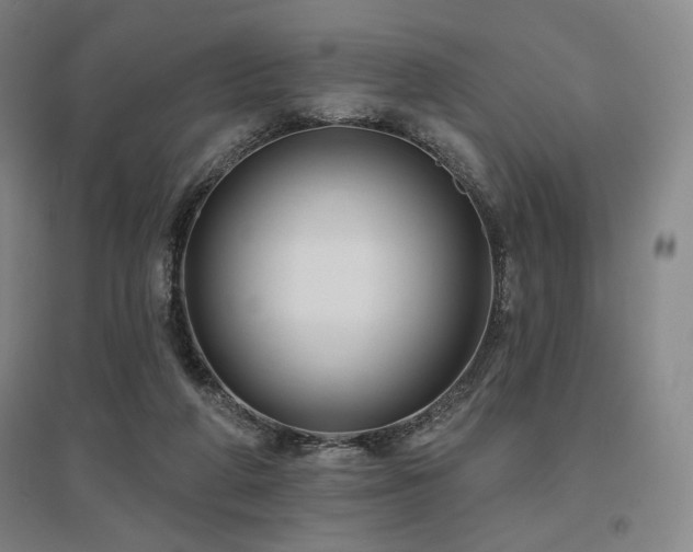 X0000095900210200801111217