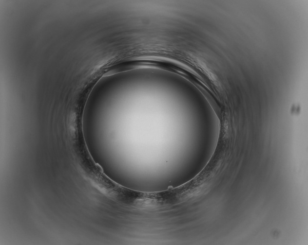 X0000095900211200801111217