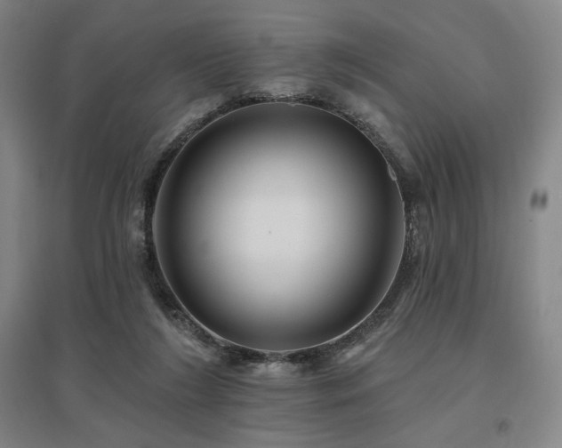X0000095900212200801111217