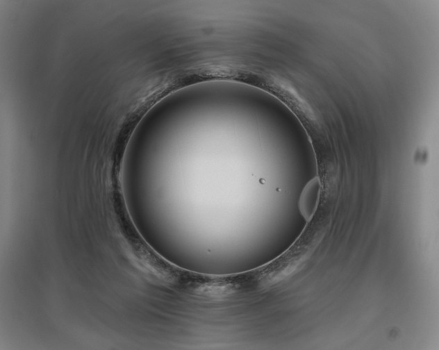 X0000095900213200801111217