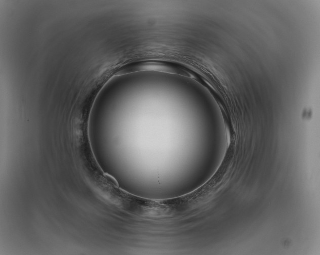X0000095900215200801111217