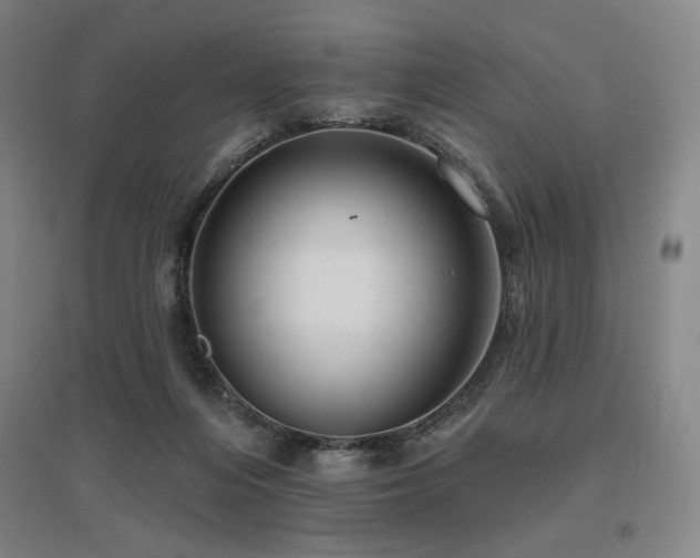 X0000095900216200801111217