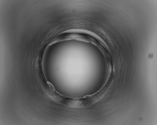 X0000095900217200801111217