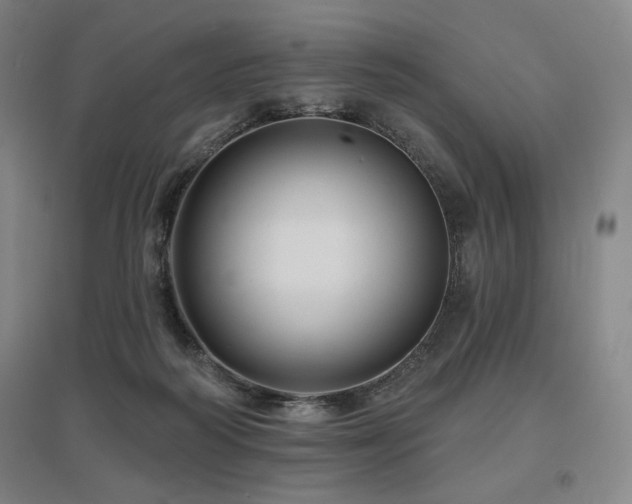 X0000095900218200801111217