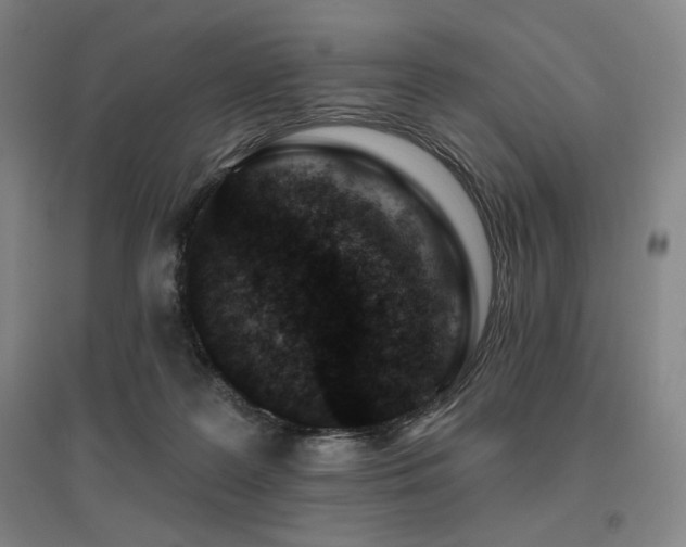 X0000095900219200801111217