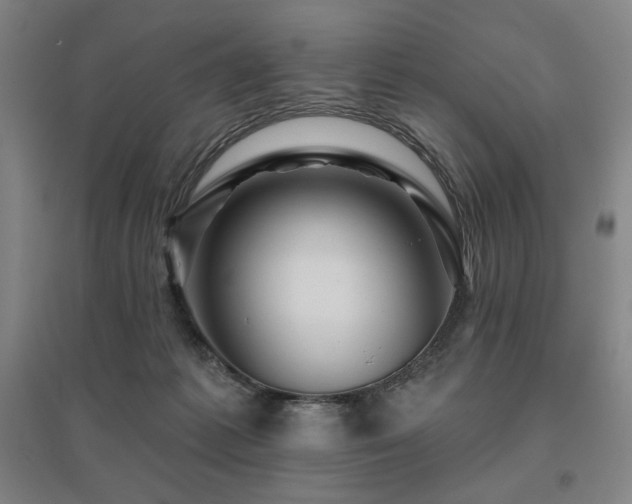X0000095900221200801111217