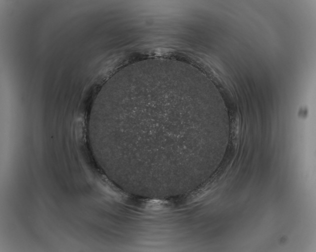 X0000095900222200801111217
