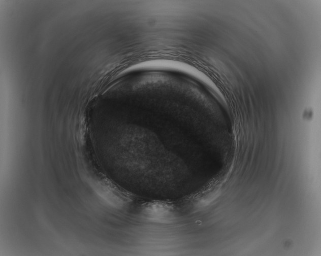 X0000095900223200801111217