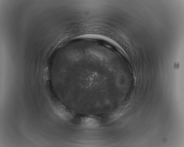 X0000095900224200801111217