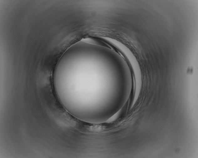 X0000095900225200801111217