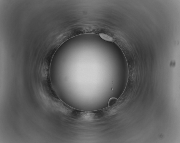 X0000095900226200801111217