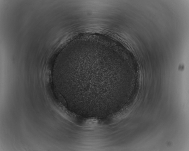 X0000095900227200801111217