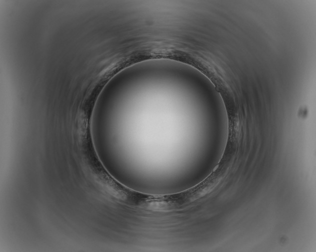 X0000095900228200801111217