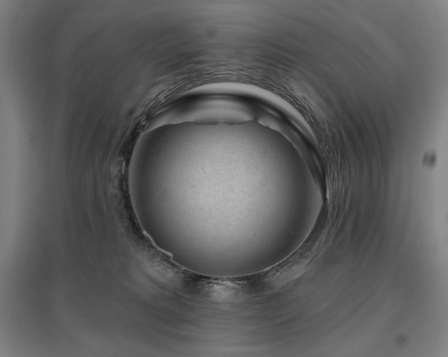 X0000095900229200801111217