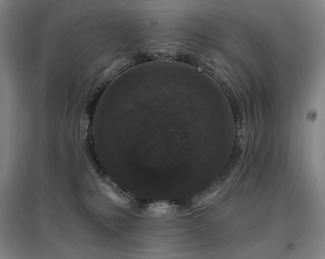 X0000095900231200801111217