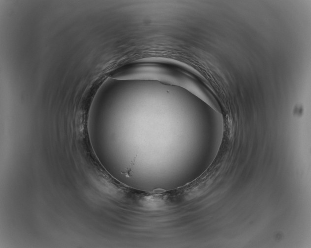 X0000095900232200801111217