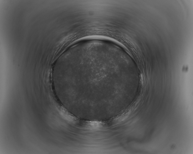 X0000095900233200801111217