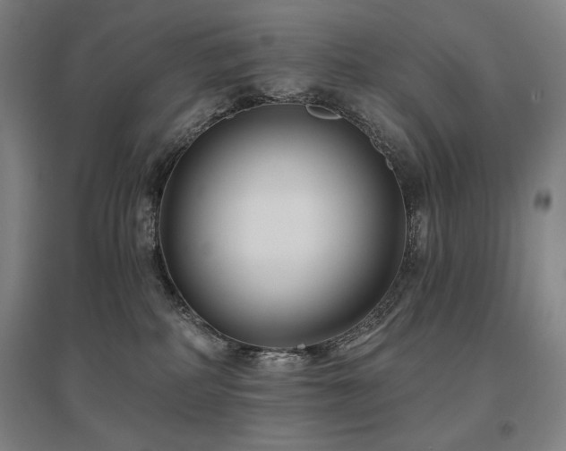 X0000095900234200801111217