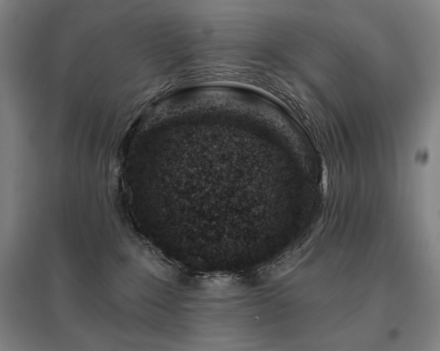 X0000095900235200801111217