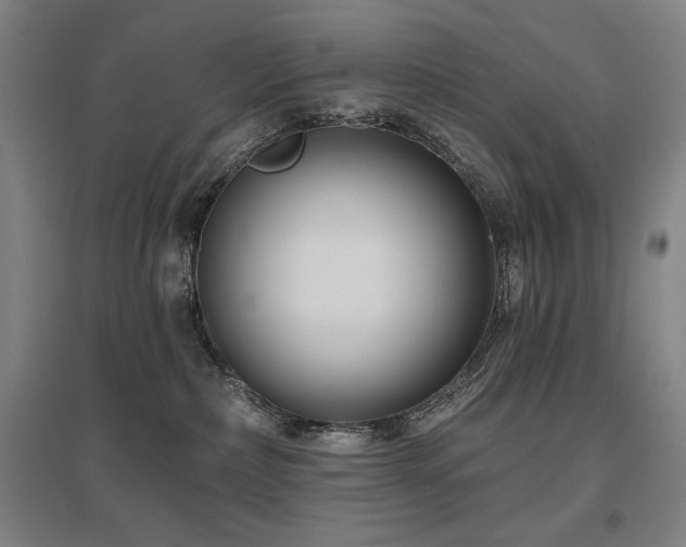 X0000095900236200801111217