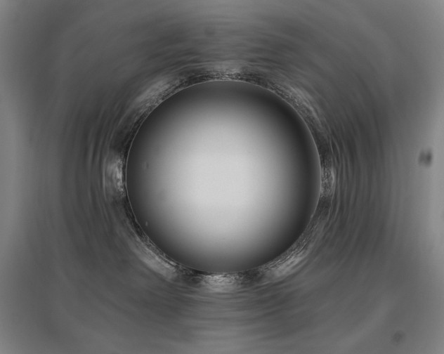 X0000095900238200801111217