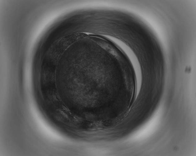 X0000095900239200801111217