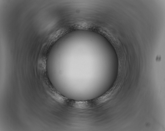 X0000095900240200801111216