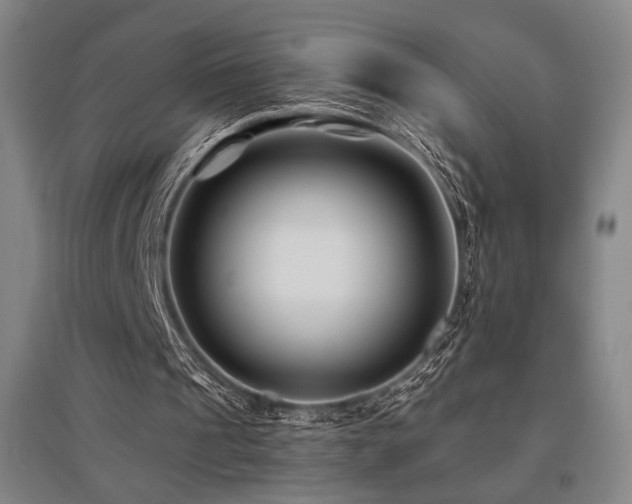 X0000095900241200801111216