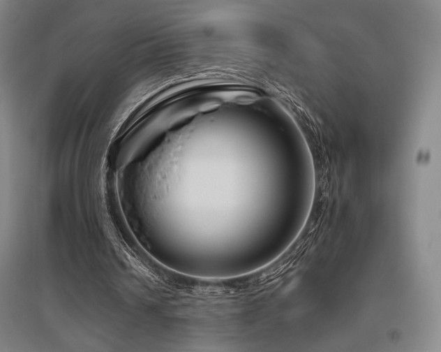 X0000095900242200801111216