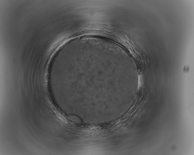 X0000095900243200801111216