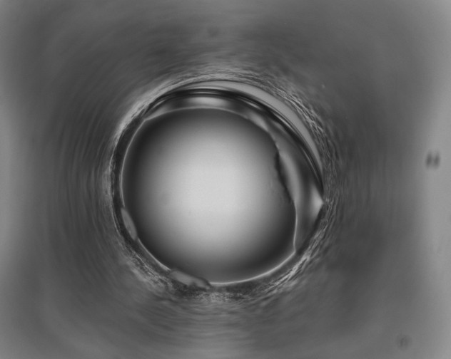 X0000095900244200801111216
