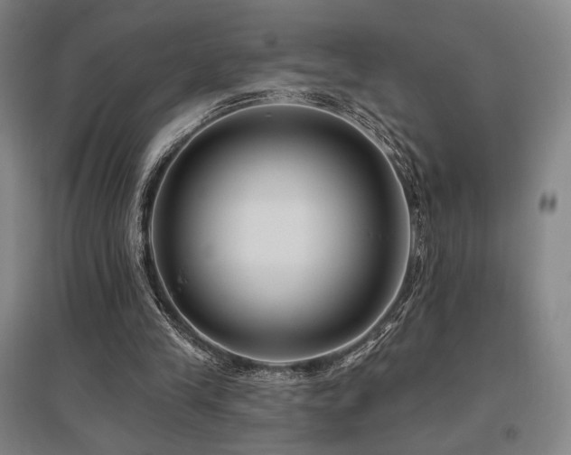 X0000095900245200801111216