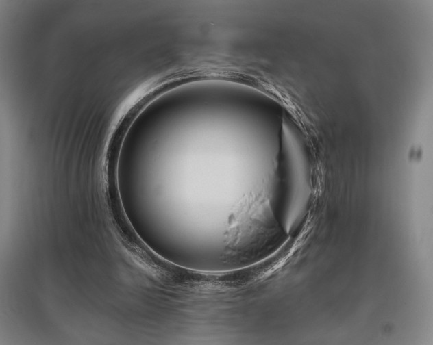 X0000095900246200801111216